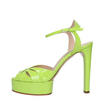 Casadei Sandals In Verde Blu E Verdi