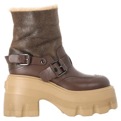 Casadei Shearling Lace Up Ankle Boots In Brown Leather In Multi