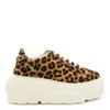 Casadei Sneaker Malesia In Brown