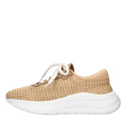 Casadei Sneakers Beige In Beige Chari