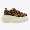 Casadei Sneaker Malesia In Brown