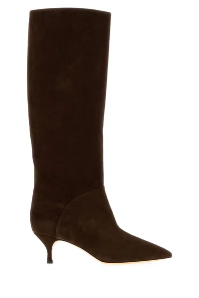 Casadei Casual Chocolate Suede Giulia Boots With 5 Cm Heel In Brown