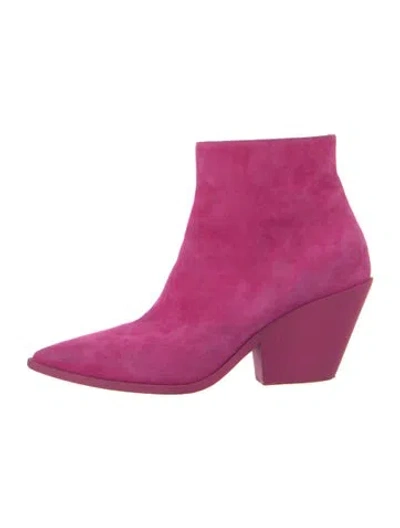 Pre-owned Casadei Suede Pumps In Pink