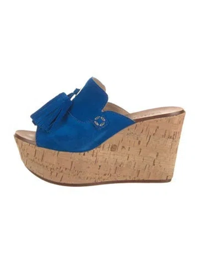 Pre-owned Casadei Suede Slides In Blue