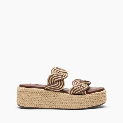 Casadei Thaiti Wedge - Woman Wedges And Slides Cocoa 40 In Brown