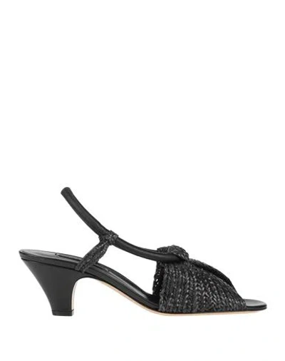 Casadei Woman Sandals Black Size 8 Leather