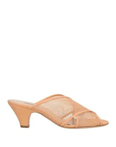 Casadei Woman Sandals Blush Size 11 Leather, Synthetisches Material In Pink