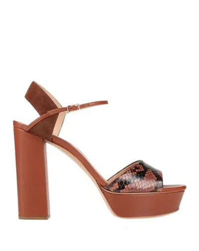 Casadei Woman Sandals Brown Size 11 Leather