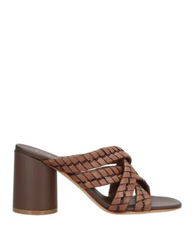 Casadei Woman Sandals Brown Size 6 Leather