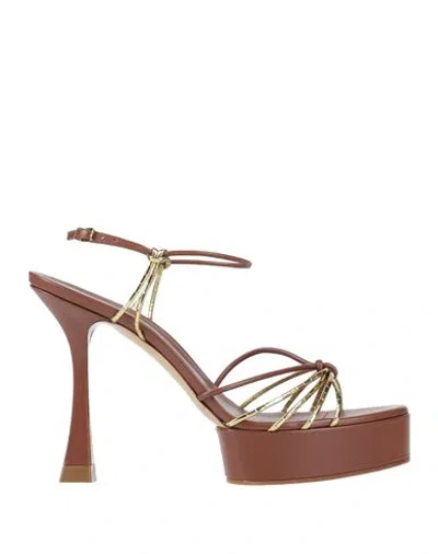 Casadei Julia Plateau-sandalen 120mm In Brown