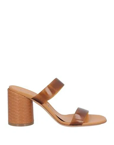 Casadei Woman Sandals Brown Size 8 Pvc - Polyvinyl Chloride