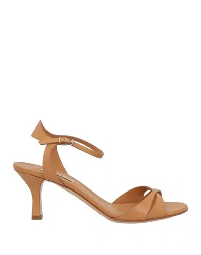 Casadei Woman Sandals Camel Size 6.5 Leather In Brown