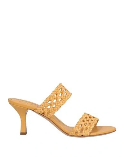 Casadei Woman Sandals Marigold Size 6 Leather In Yellow
