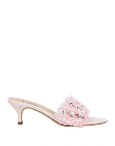 Casadei Woman Sandals Pink Size 8 Textile Fibers, Synthetisches Material