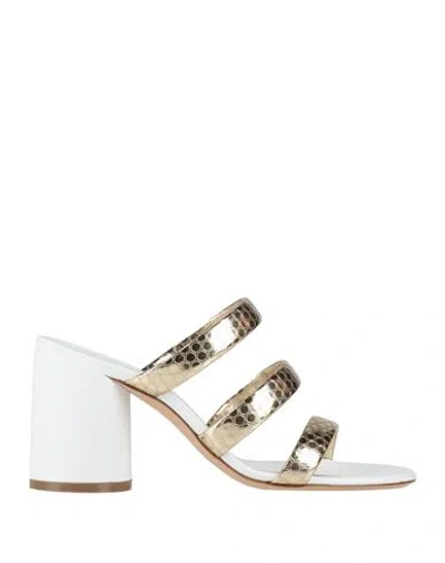 Casadei Woman Sandals Platinum Size 7 Textile Fibers In Gold