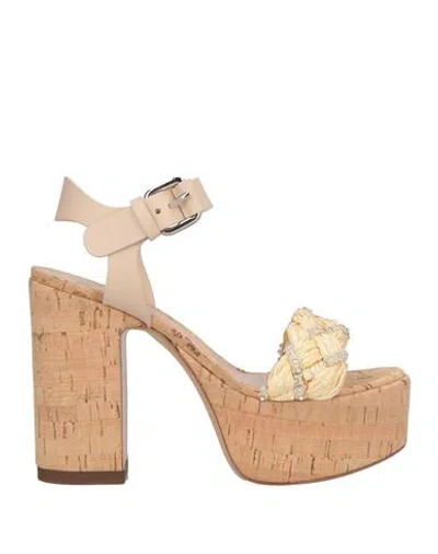 Casadei Woman Sandals Sand Size 7 Textile Fibers, Natural Raffia In Brown