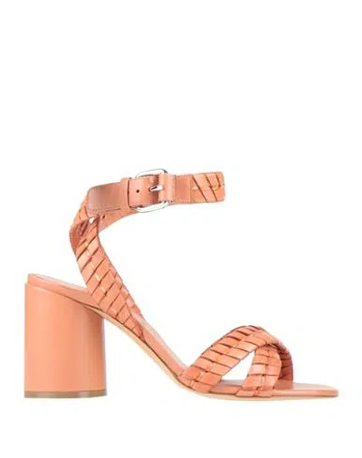 Casadei Woman Sandals Tan Size 7.5 Leather In Brown