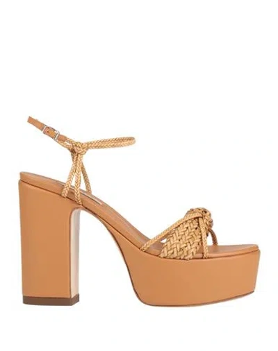 Casadei Woman Sandals Tan Size 8 Leather In Brown