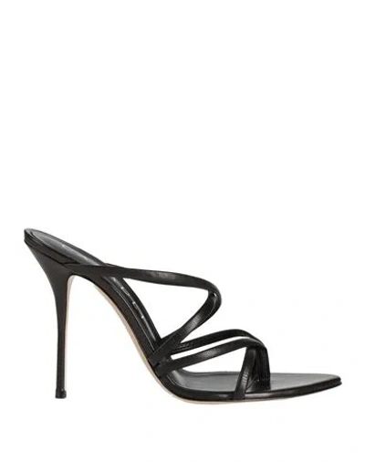Casadei Woman Thong Sandal Black Size 6 Leather