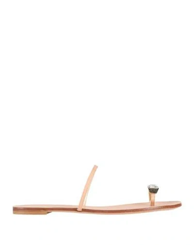 Casadei Woman Thong Sandal Blush Size 11 Leather In Pink