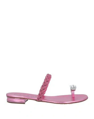 Casadei Woman Thong Sandal Fuchsia Size 8 Soft Leather, Textile Fibers In Pink
