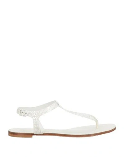 Casadei Woman Thong Sandal Off White Size 11 Leather