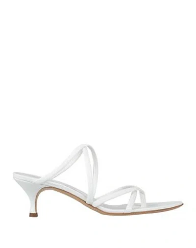 Casadei Woman Thong Sandal White Size 7.5 Leather
