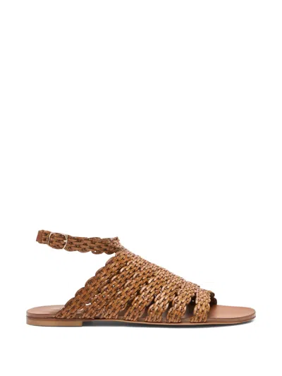 Casadei Woven Buckled Sandals In Brown