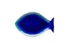 Casafina By Costa Nova Dori Large Fish Platter 17 Inch