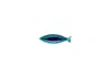 Casafina By Costa Nova Dori Small Fish Platter 8 Inch