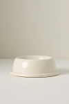 Casafina Pacifica Pet Bowl In White