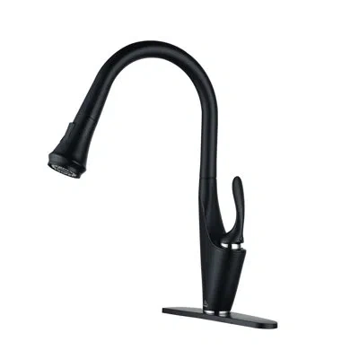 Casainc 1.8 Gpm Pull Down Kitchen Faucet With Deck Plate In Matte Black