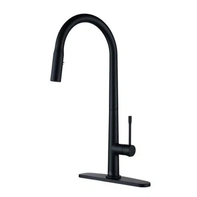 Casainc 1.8 Gpm Single-handle Pull-down Kitchen Faucet Single Hole Faucet In Matte Black