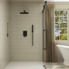 Casainc 2-function Complete Shower System With Rough-in Valve In Matte Black
