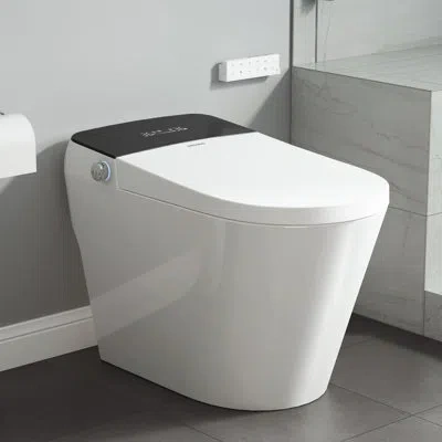 Casainc Birchln Smart Toilet With Muti Wash Modes, Auto Open & Close, U-shaped Heated Seat, Auto/kick Flush, In White