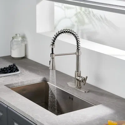 Casainc Bolden  1.8 Gpm Britt Commercial Style Pull Down Single Handle Kitchen Faucet In Brushed Nickel
