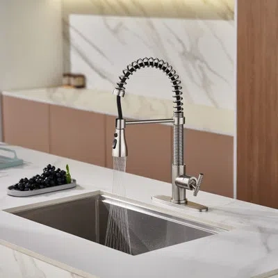 Casainc Bolden  1.8 Gpm Spring Neck Pull Down Kitchen Faucet With Deck Plate In Brushed Nickel
