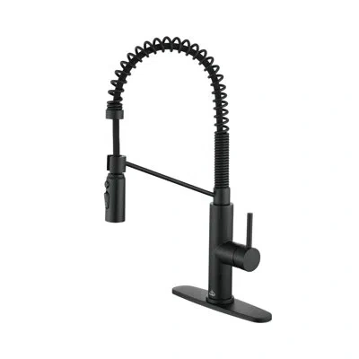 Casainc Bolden  1.8 Gpm Spring Neck Pull Down Kitchen Faucet With Deck Plate In Matte Black