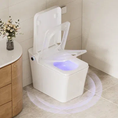 Casainc Oakln Smart Toilet With Child Wash, User Mode, Auto Flush, Water Replacement And Antibacterial Heate In White