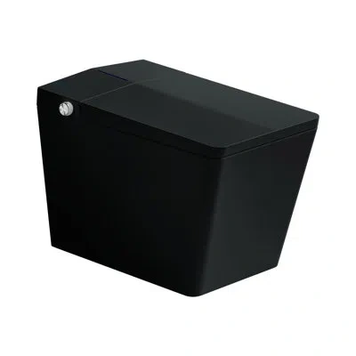 Casainc Oakln Square Smart Toilet With Built-in Tank,led Display,auto Flush,remote Control,warm Water&heated In Black