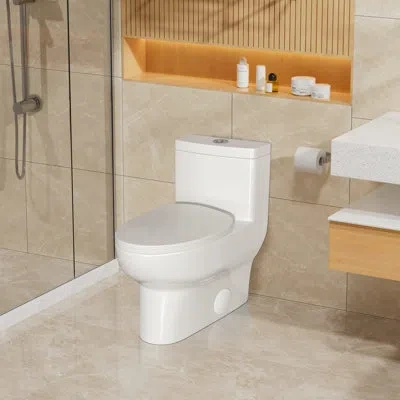 Casainc One-piece Dual Flush 1.1/1.6 Gpf Elongated Toilet Comfort Seat Height,soft-close Seat,glazed Surface In White