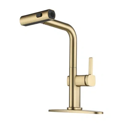 Casainc Single Handle Pull Out Kitchen Faucet With Three-function Mode Sprayer In Brushed Gold