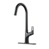 Casainc Single-handle Pull-down Kitchen Faucet Single Hole Faucet With Deck Plate In Matte Black
