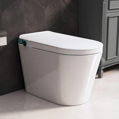 Casainc Smart Heated Seat Bidet With Ambient Light,auto Lid,warm Air Dryer, Led Display, Night Light