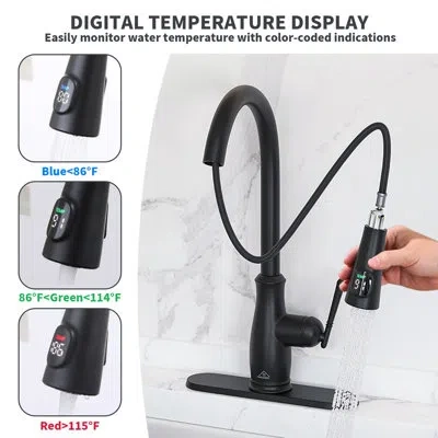 Casainc Willow Pull Down Sprayer Kitchen Faucet With Digital Display And Deck Plate In Matte Black