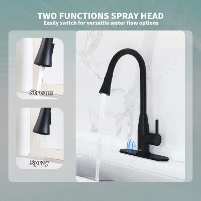 Casainc Willow Pull Down Sprayer Kitchen Faucet With Touchless Sensor With Deck Plate In Matte Black