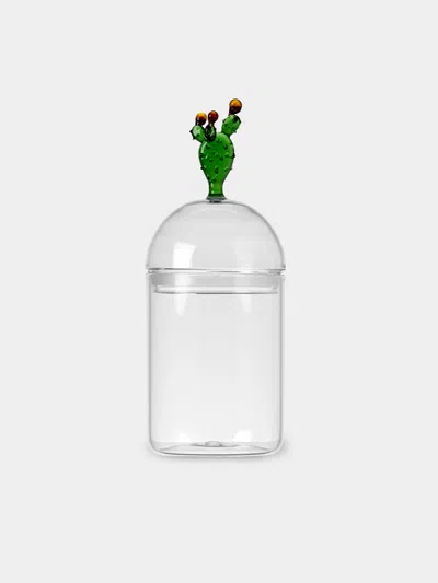 Casarialto Cactus Hand-blown Glass Jar In Transparent
