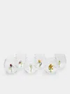 Casarialto Flower Power Hand-blown Murano Glass Tumblers (set Of 6) In Transparent