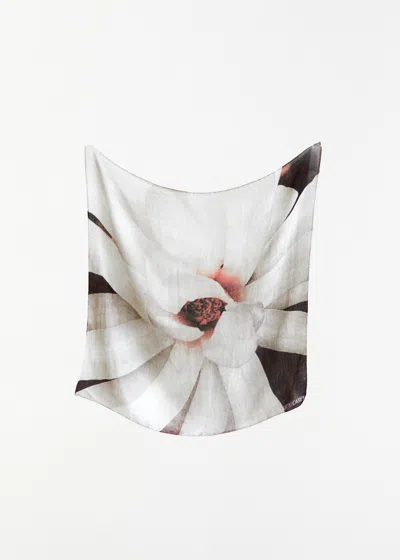 Casey Casey Exclusive Silk Cashmere Scarf In Red