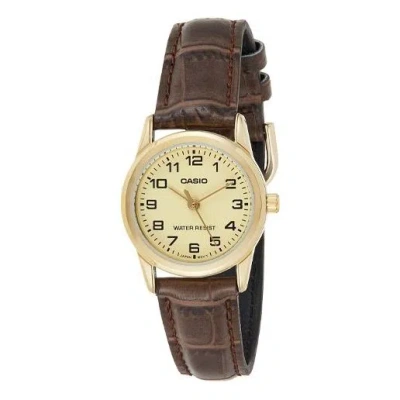 Casio Quartz Waterproof Gold Analog In Brown
